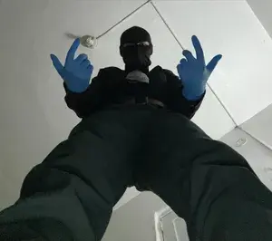 Nightwing profile picture