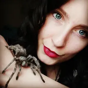 𝓔𝓵𝓵𝓮🕷 profile picture