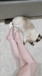 Yuri Momochi profile picture