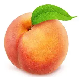 HugeFatBum profile picture