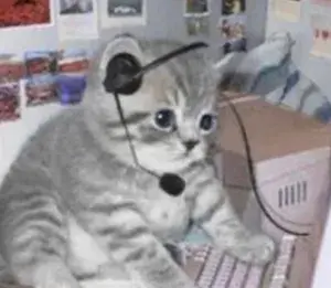 BlownUpBrooke profile picture