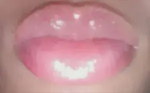 Shelly Shells profile picture