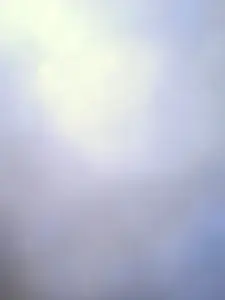 Irelandreid profile picture