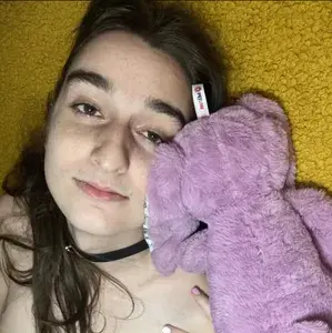 Rose Labrador profile picture