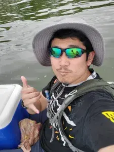 Robin profile picture