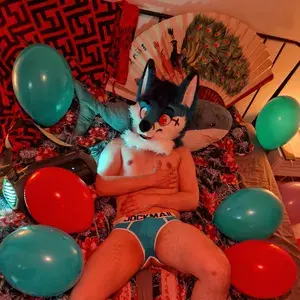 Ami Bluefox profile picture