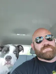 Harry profile picture