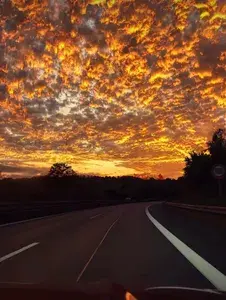 💚Sunny.Sophie profile picture