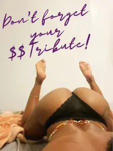 SolesOfPhoenixx profile picture