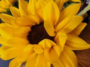 Alamorousmommy The Goddess profile picture