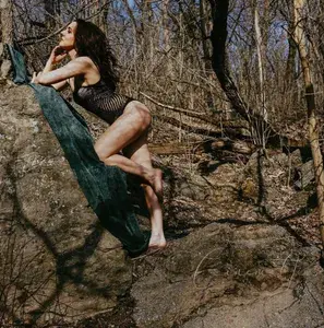 Winter Fire profile picture