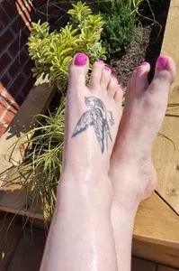 Arched Angel profile picture