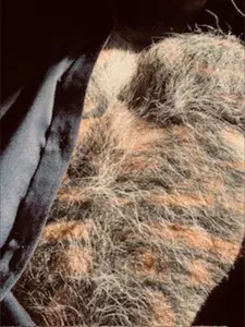 I am that Daddy profile picture